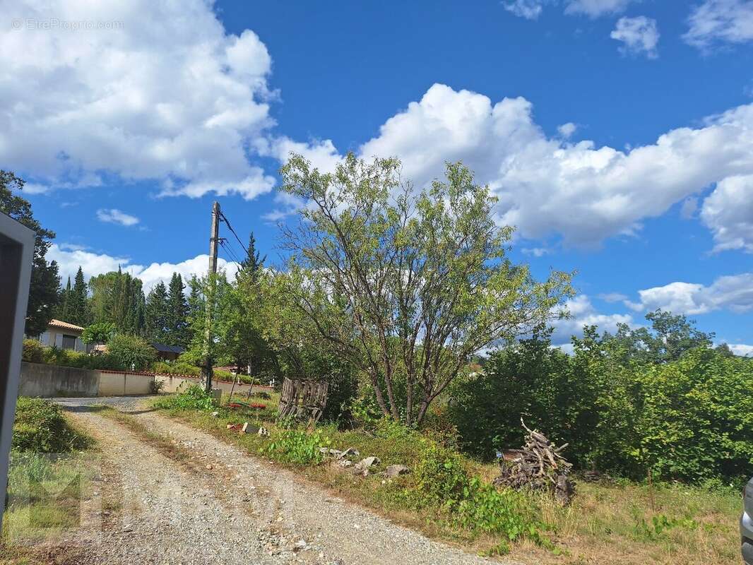 Commerce à MONTAZELS