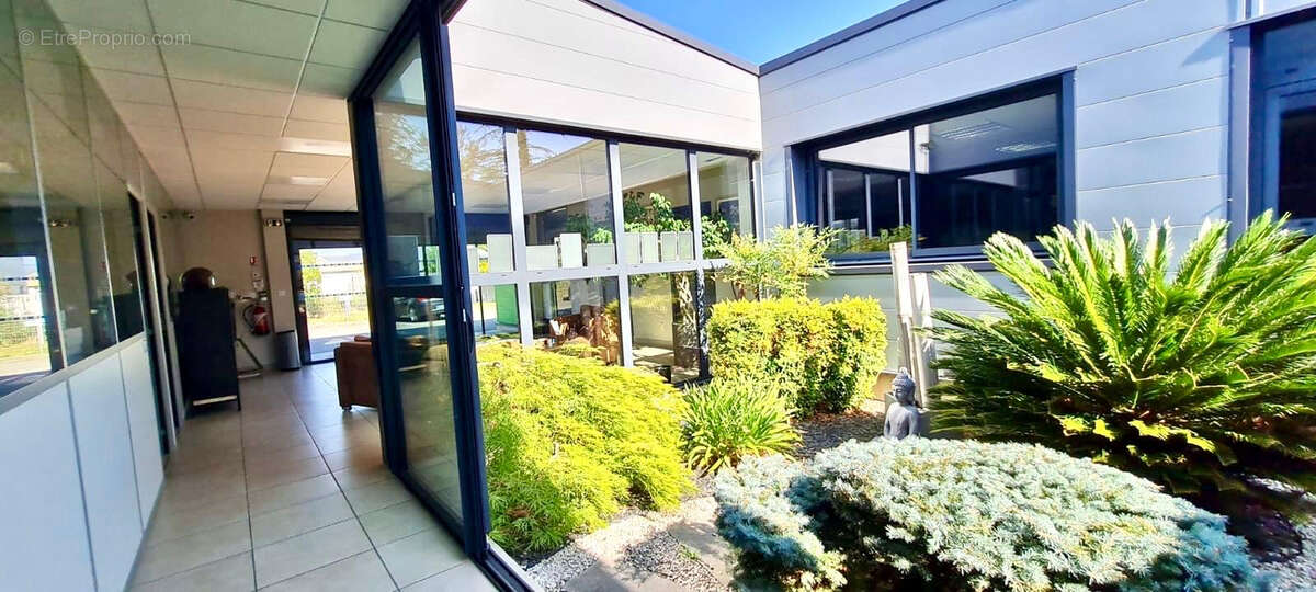 Commerce à CHATEAUNEUF-DU-RHONE