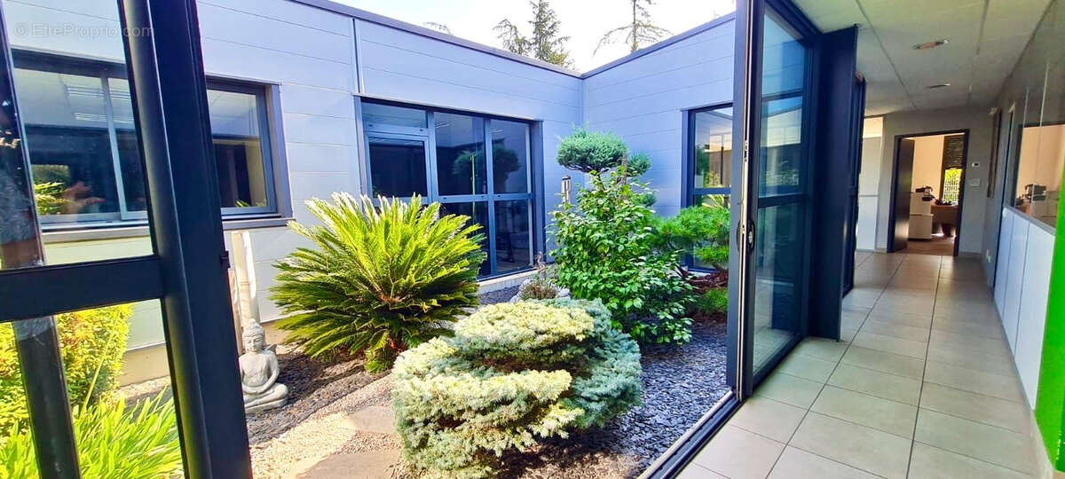 Commerce à CHATEAUNEUF-DU-RHONE