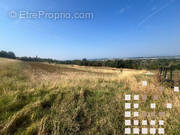 Terrain à SAINT-BARDOUX