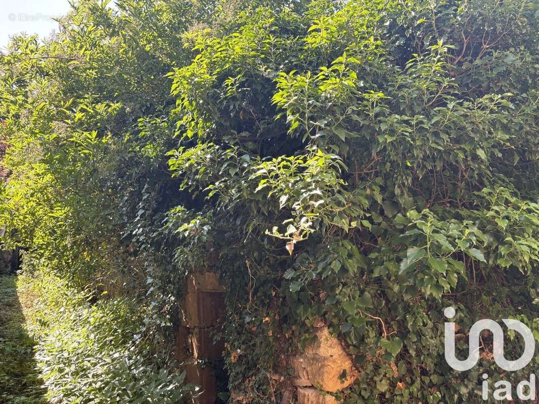 Photo 6 - Maison à COUDES