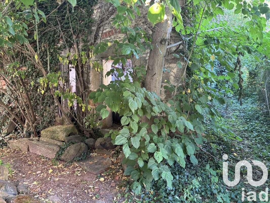 Photo 7 - Maison à COUDES