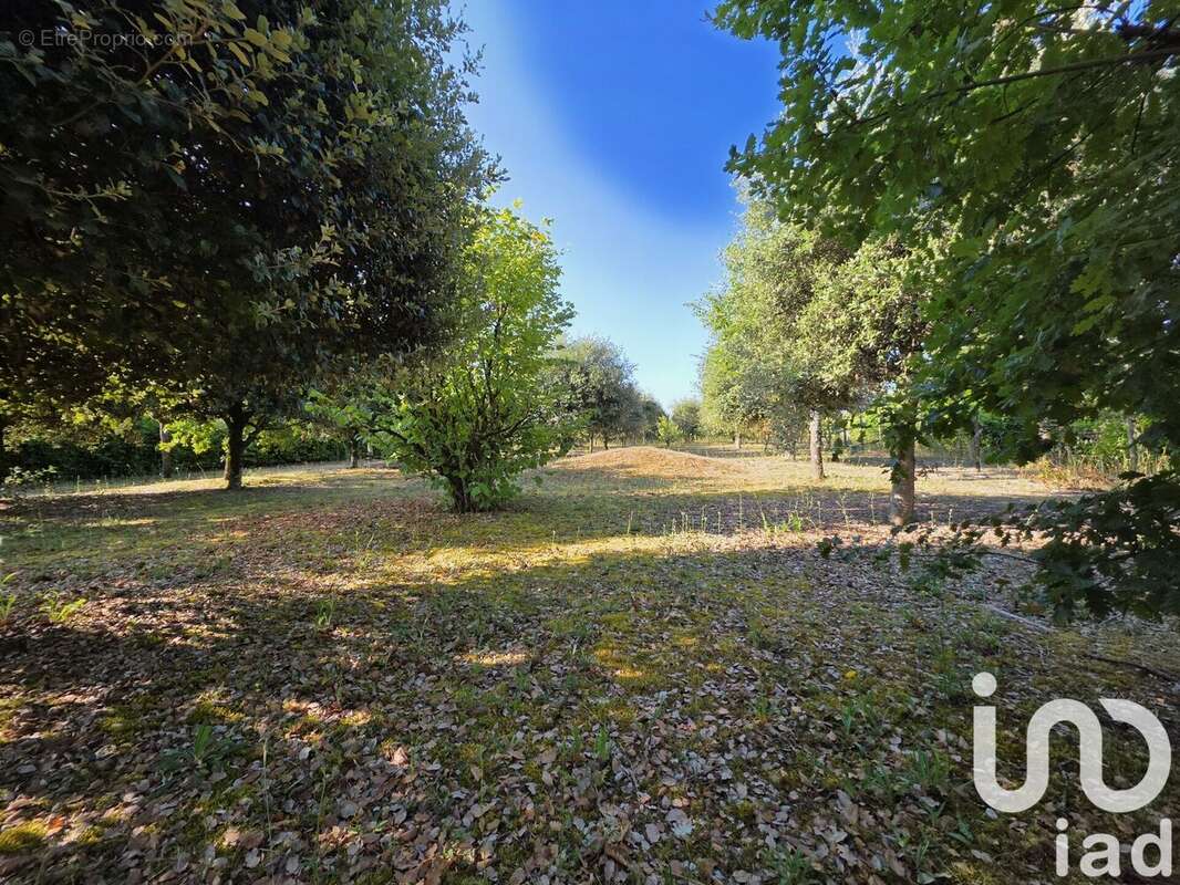 Photo 3 - Terrain à ROUILLAC