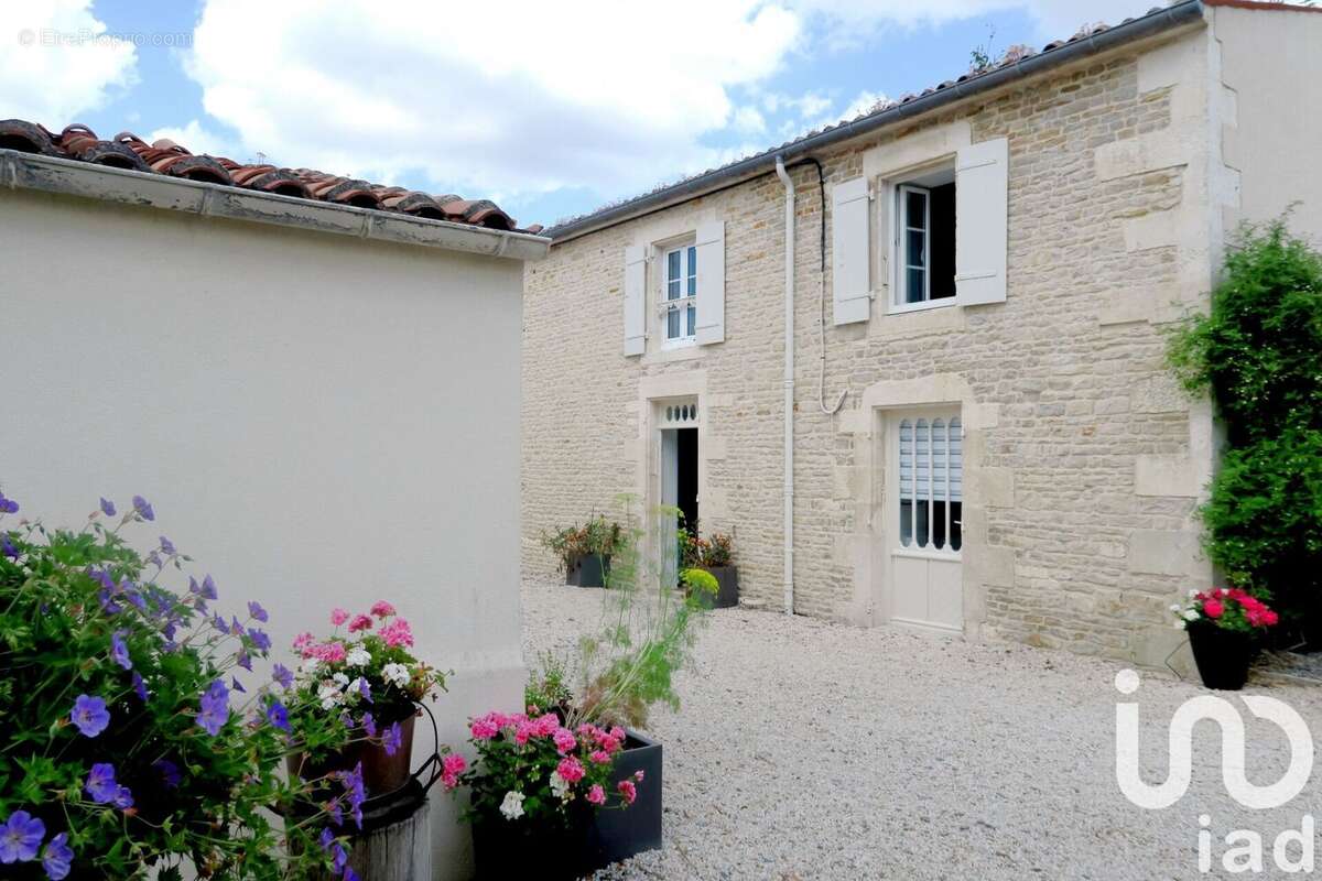 Photo 2 - Maison à SAINT-SAUVEUR-D'AUNIS