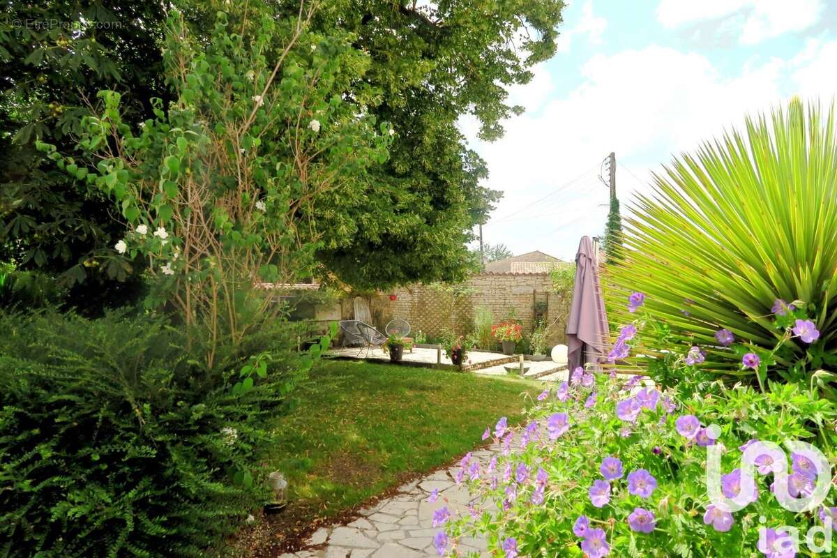 Photo 6 - Maison à SAINT-SAUVEUR-D'AUNIS