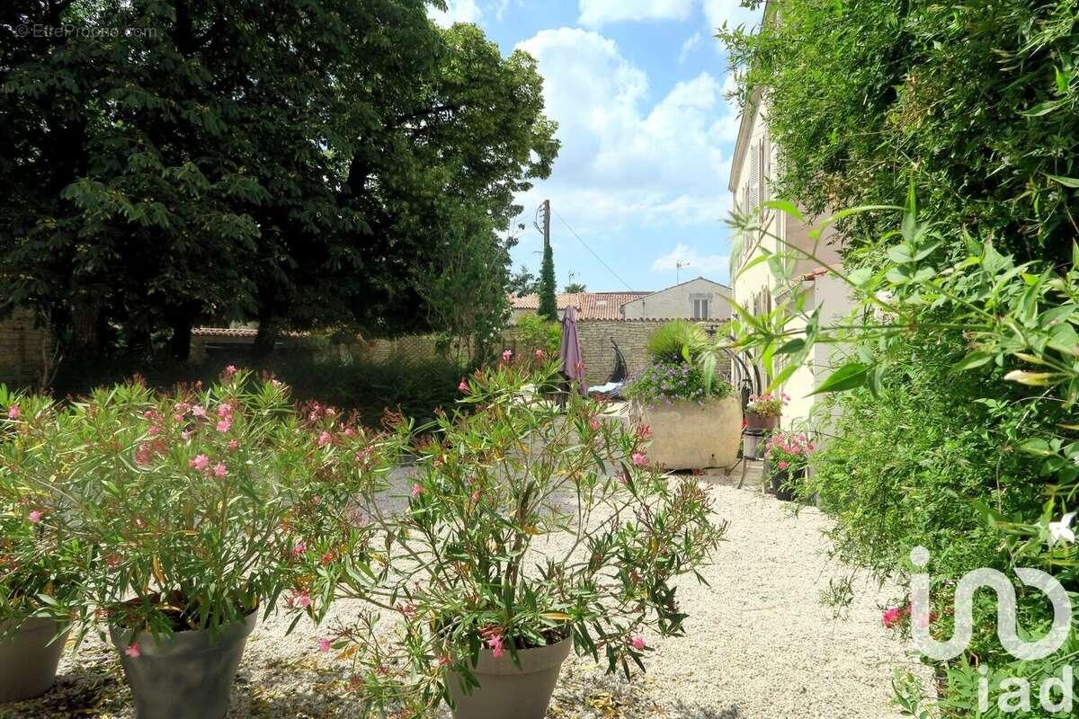 Photo 7 - Maison à SAINT-SAUVEUR-D'AUNIS