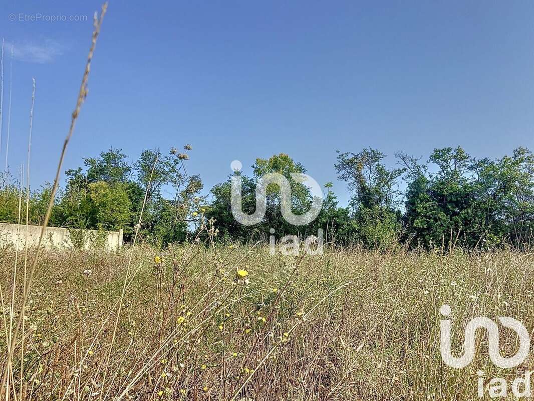 Photo 3 - Terrain à LA BRILLANNE