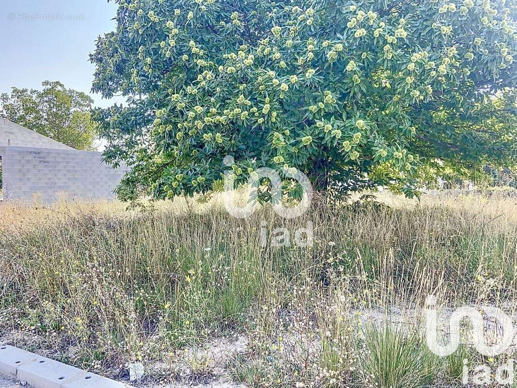 Photo 7 - Terrain à LA BRILLANNE