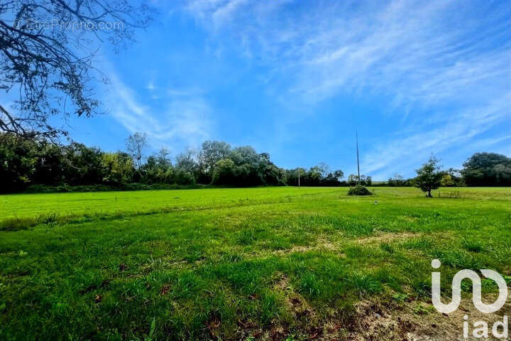 Photo 4 - Maison à CRAVANS