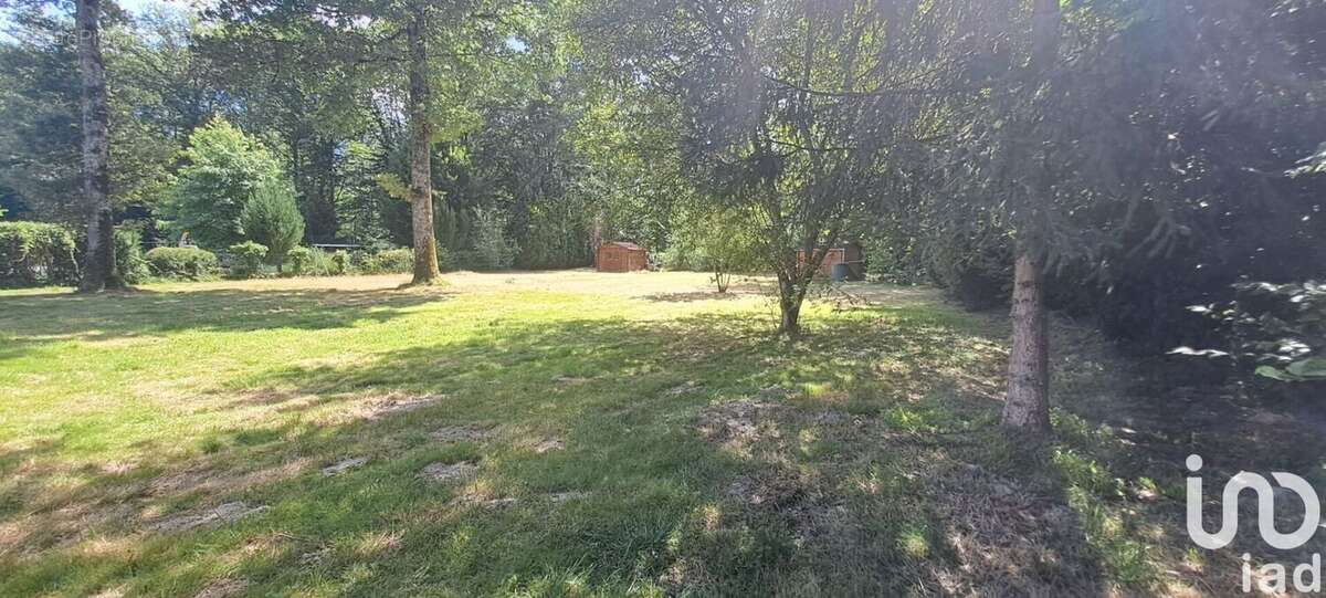 Photo 4 - Maison à COURTENAY