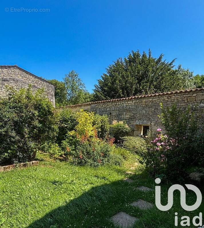 Photo 3 - Maison à PORT-D&#039;ENVAUX