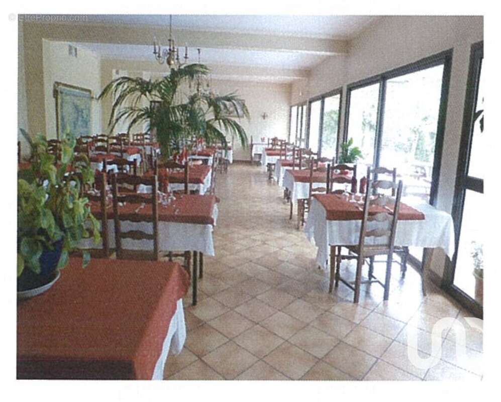 Photo 2 - Appartement à AUBAZINES