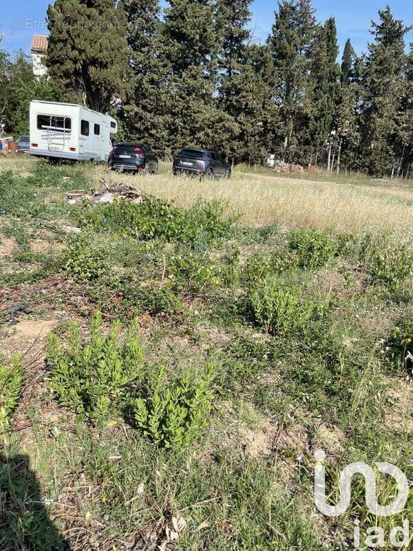 Photo 2 - Terrain à VENTENAC-EN-MINERVOIS