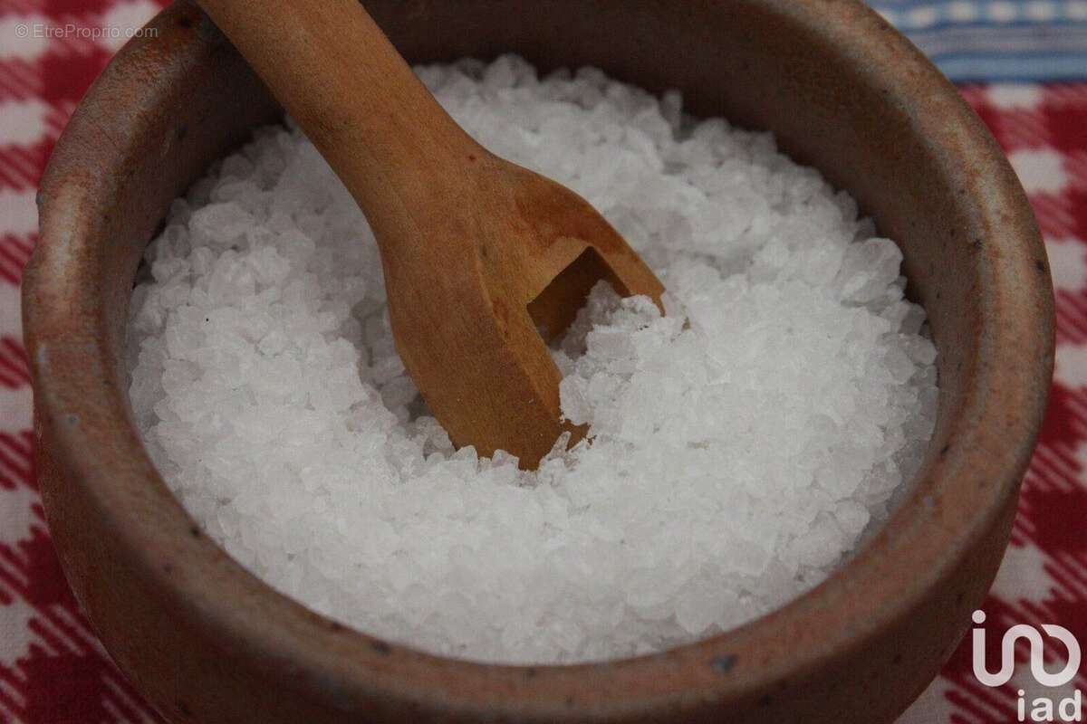 Photo 2 - Commerce à SAINT-MARTIN-DE-RE