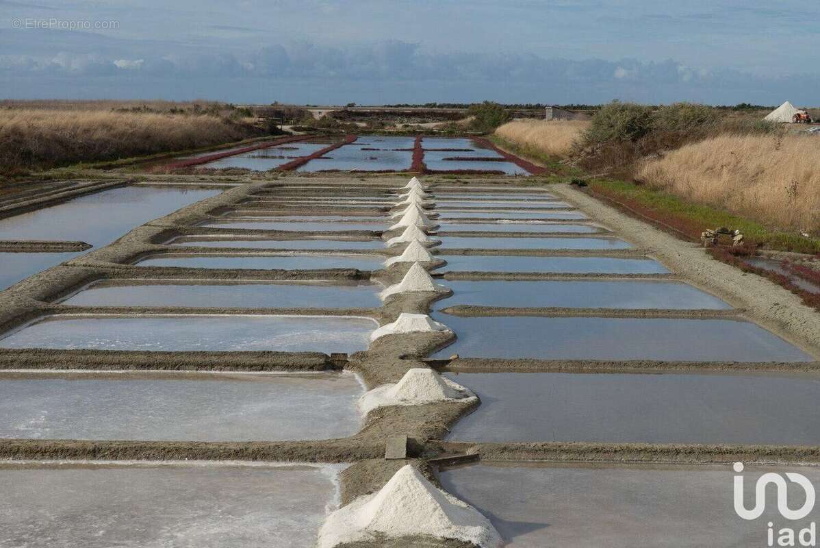 Photo 5 - Commerce à SAINT-MARTIN-DE-RE