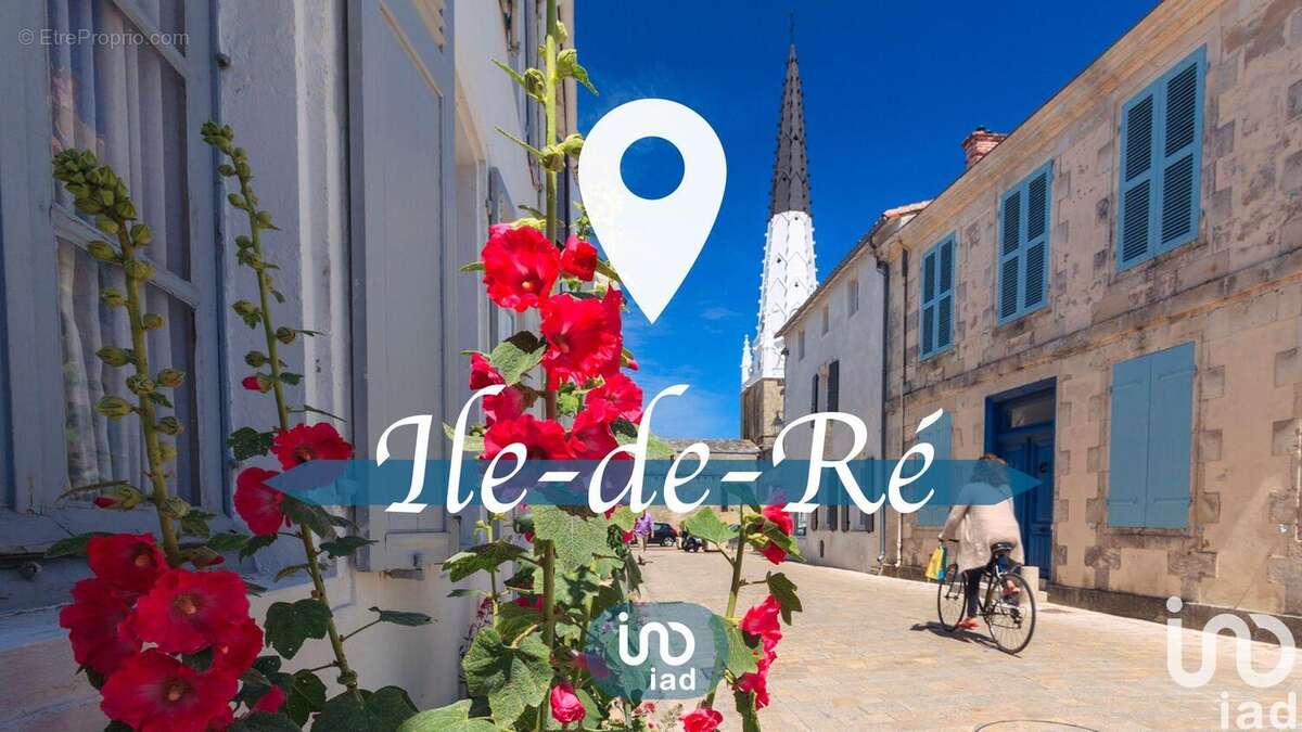 Photo 7 - Commerce à SAINT-MARTIN-DE-RE