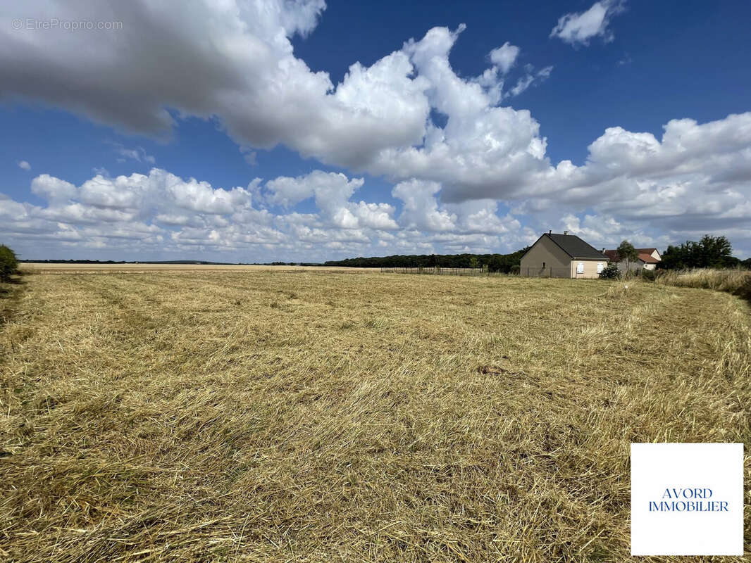 Terrain à FARGES-EN-SEPTAINE