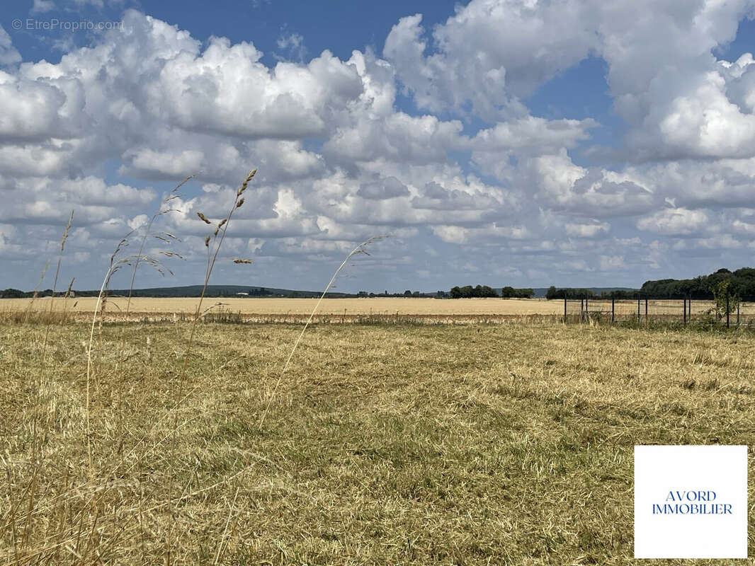Terrain à FARGES-EN-SEPTAINE