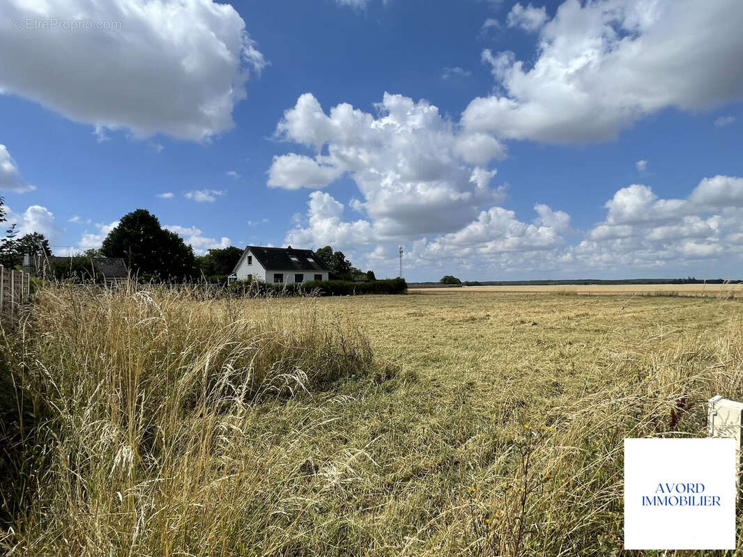 Terrain à FARGES-EN-SEPTAINE