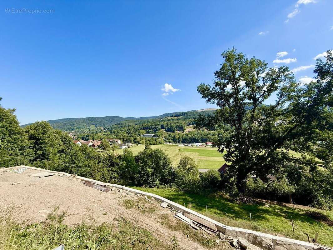 Terrain à MUHLBACH-SUR-MUNSTER