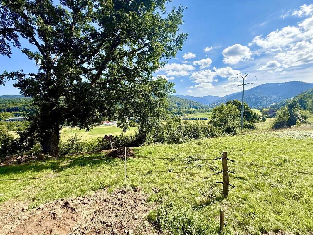Terrain à MUHLBACH-SUR-MUNSTER
