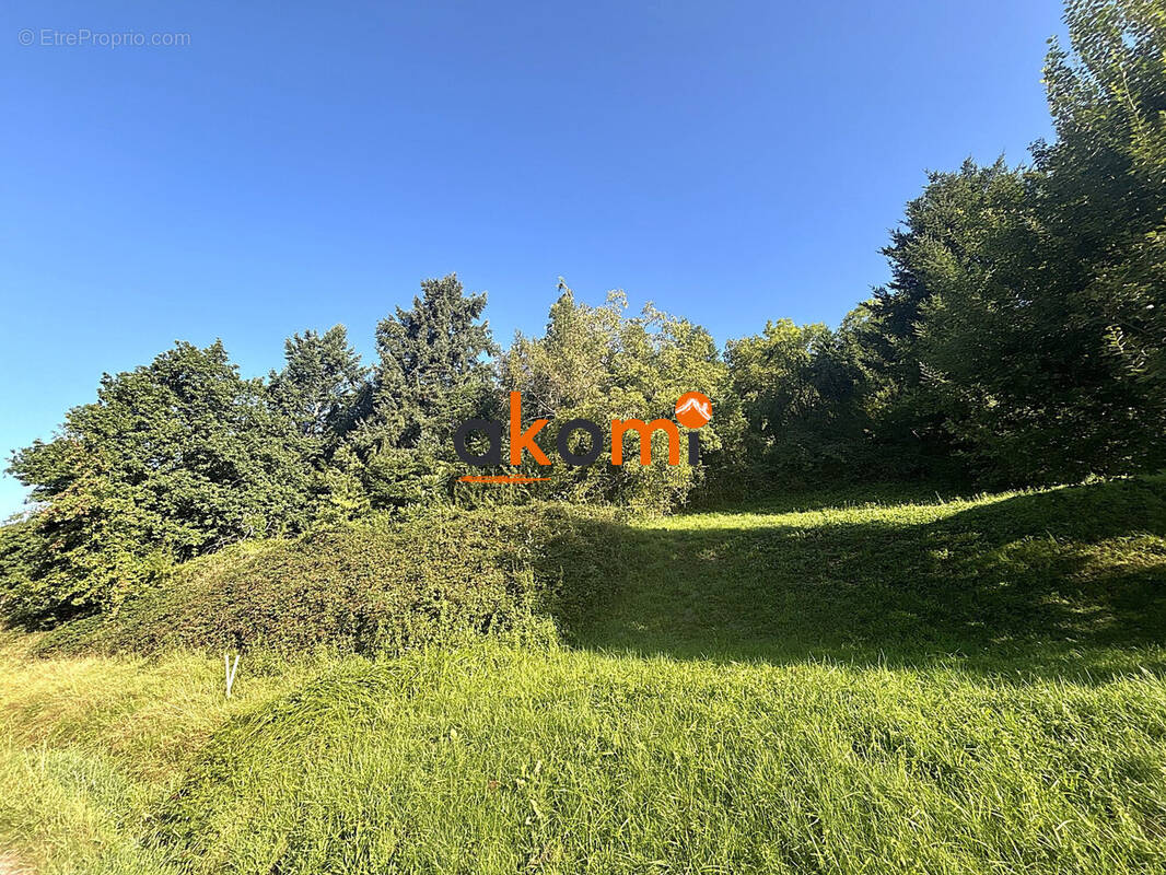 Terrain à WISEMBACH