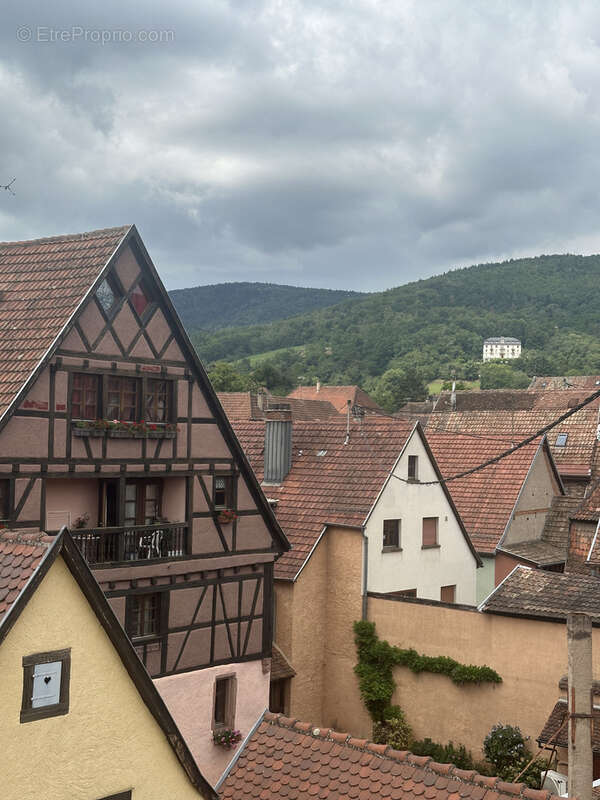 Appartement à RIBEAUVILLE