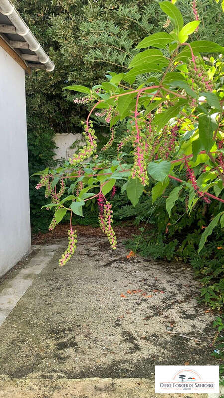 Appartement à ROYAN