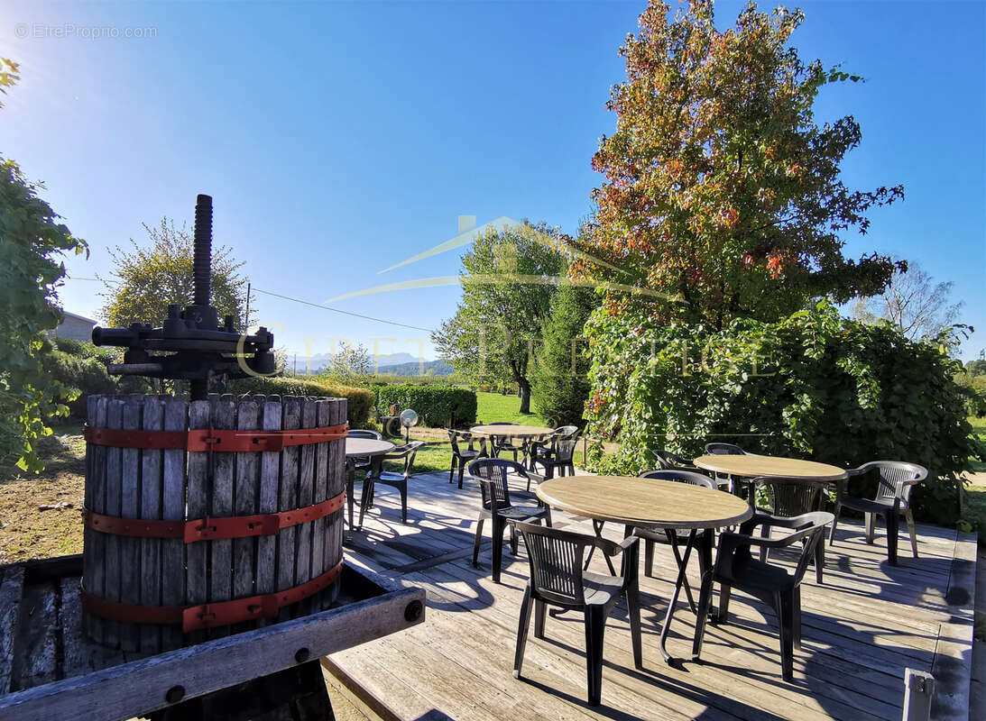 Commerce à SAINT-GENIX-SUR-GUIERS