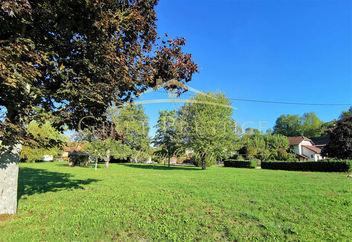 Commerce à SAINT-GENIX-SUR-GUIERS