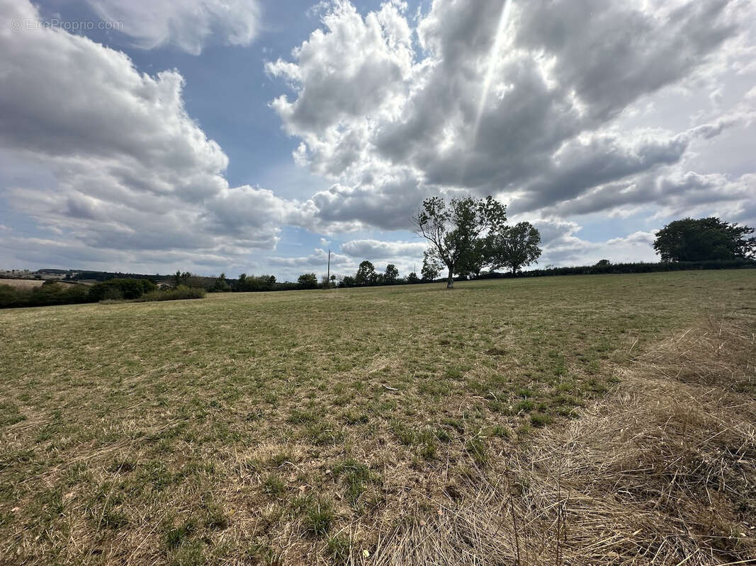 Maison à SAINT-DIDIER-EN-BRIONNAIS