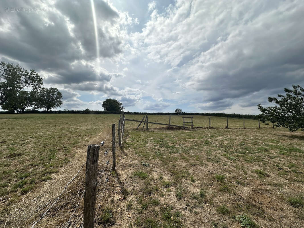 Maison à SAINT-DIDIER-EN-BRIONNAIS