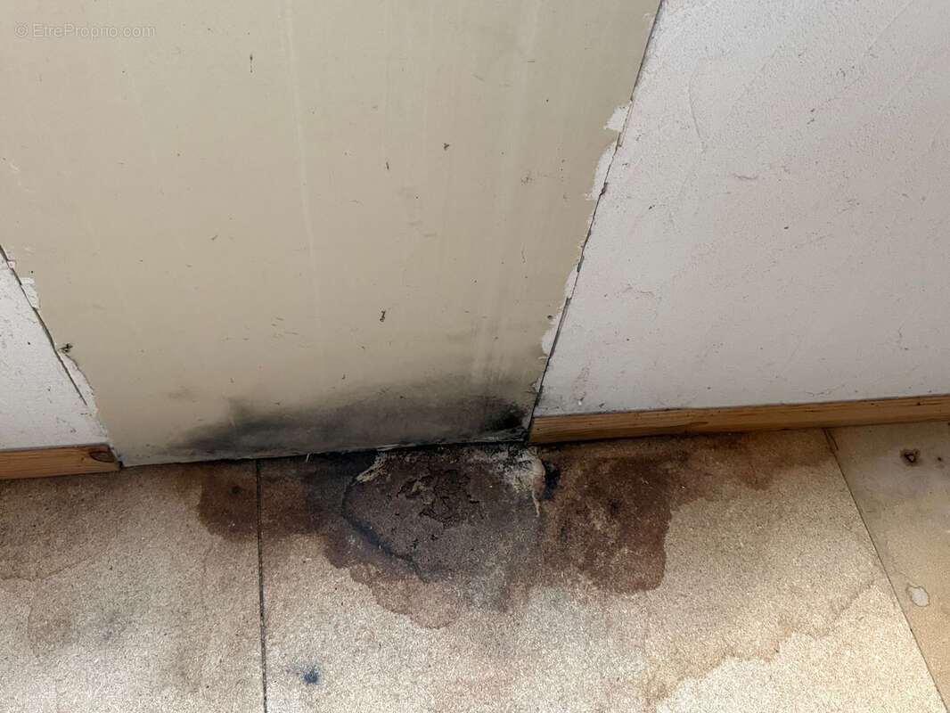 Maison à SAINT-JULIEN-LA-GENESTE