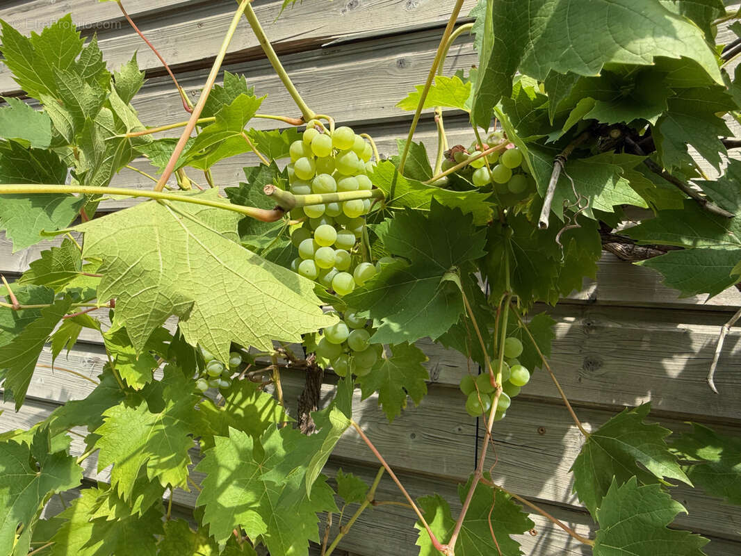 Maison à SAINT-JULIEN-LA-GENESTE