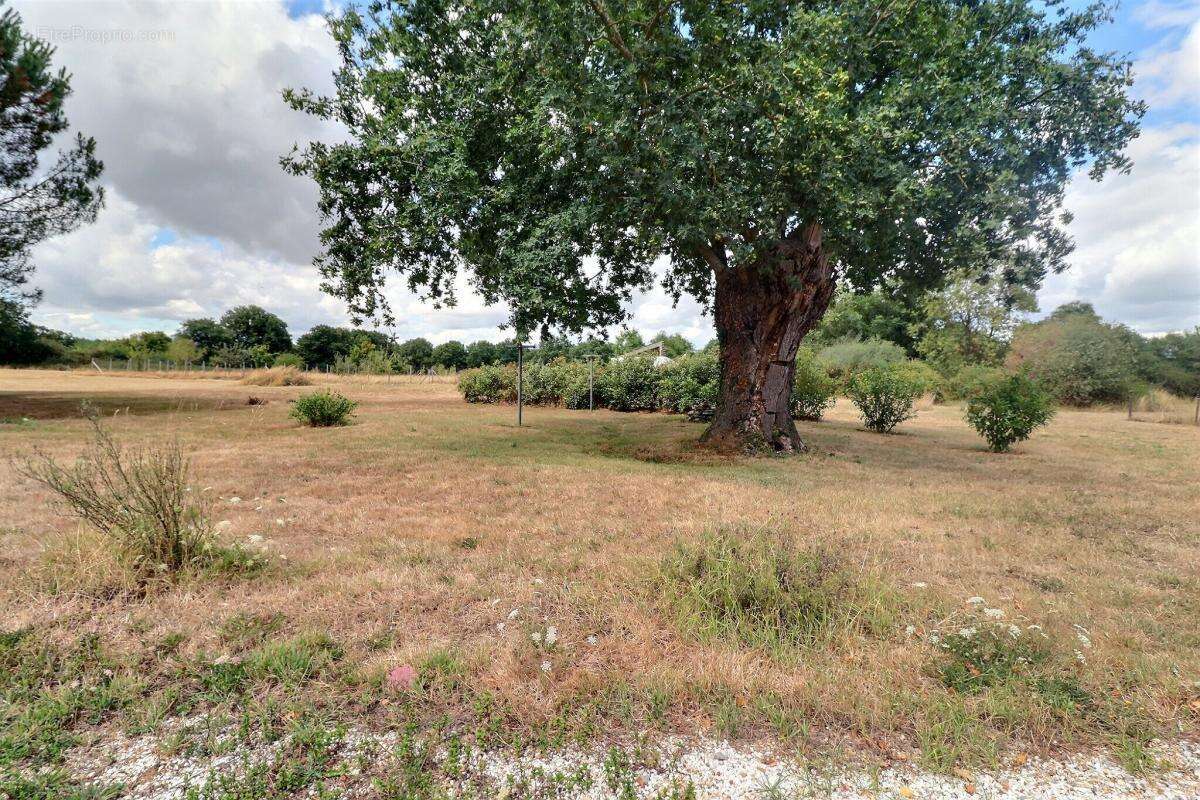 Maison à VILLEMOISAN