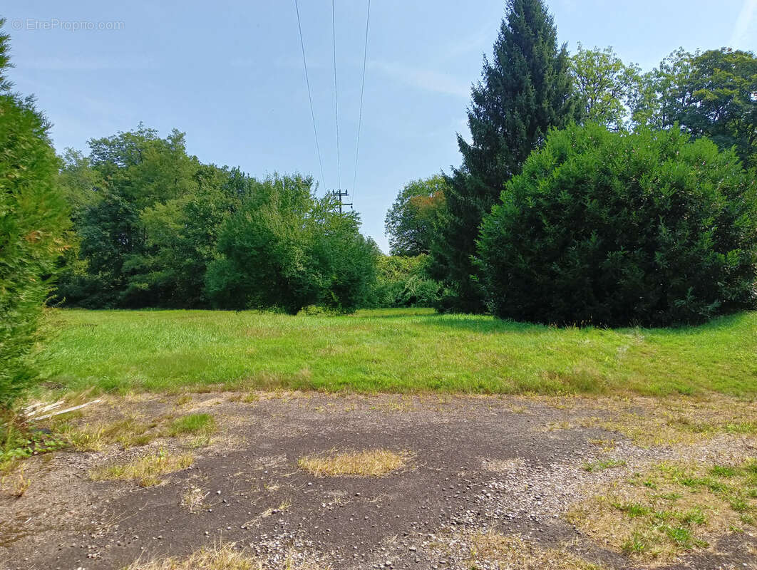 Maison à AILLEVILLERS-ET-LYAUMONT