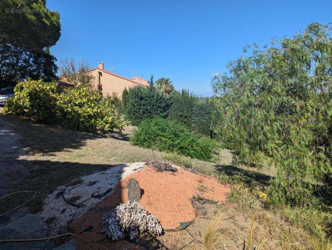 Maison à MONTESQUIEU-DES-ALBERES