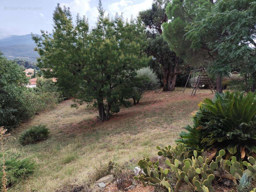 Maison à MONTESQUIEU-DES-ALBERES