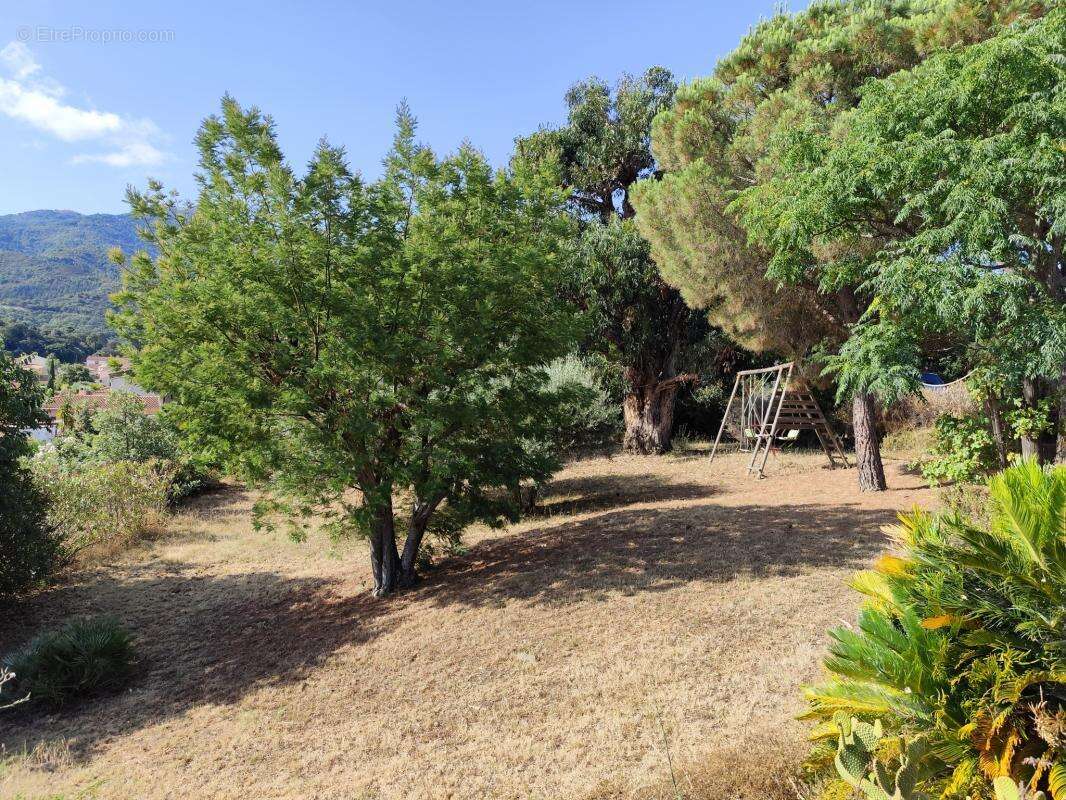 Maison à MONTESQUIEU-DES-ALBERES