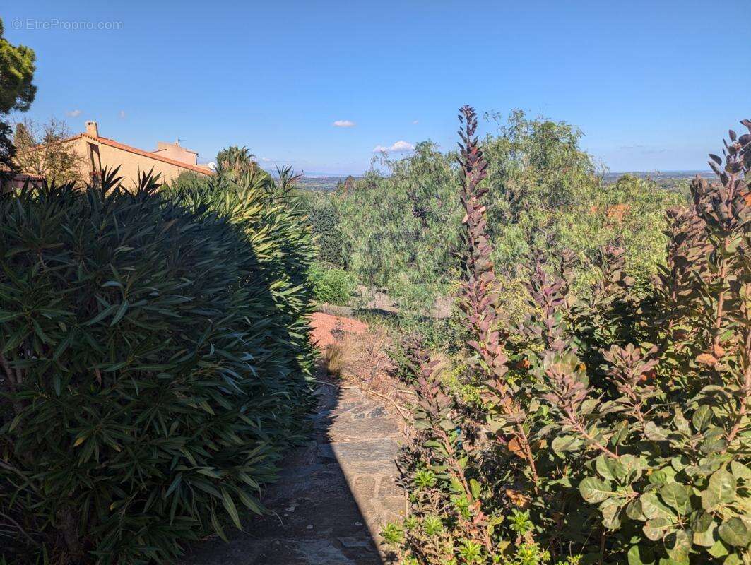 Maison à MONTESQUIEU-DES-ALBERES