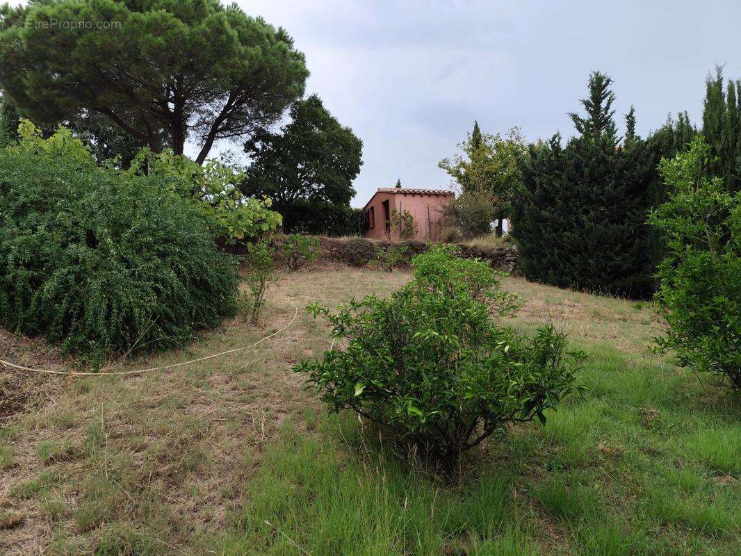 Maison à MONTESQUIEU-DES-ALBERES