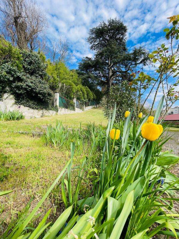 Maison à CALUIRE-ET-CUIRE