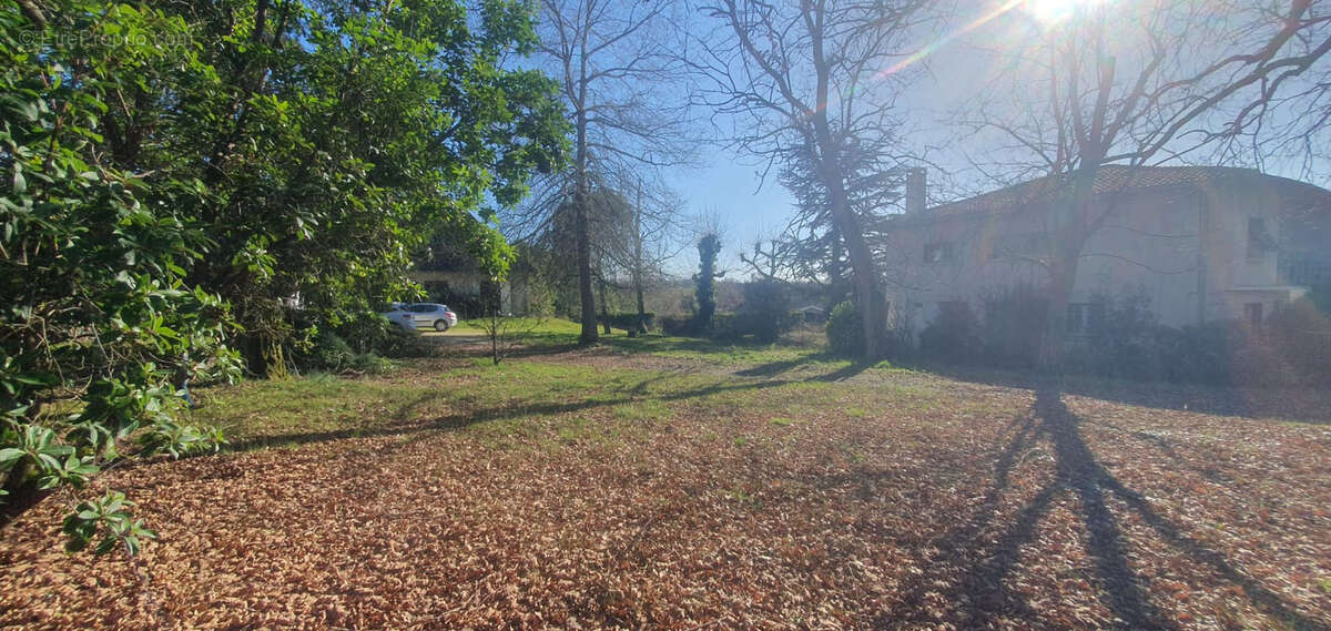 Maison à SAINTE-EULALIE