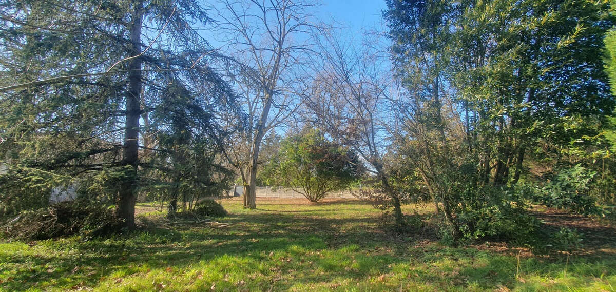 Maison à SAINTE-EULALIE