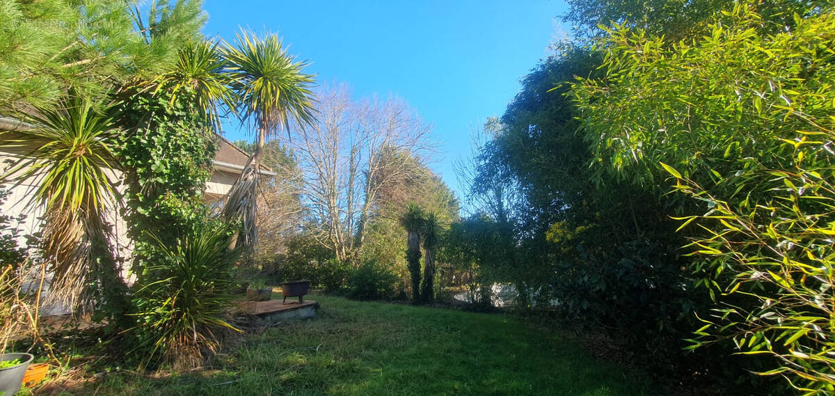 Maison à SAINTE-EULALIE