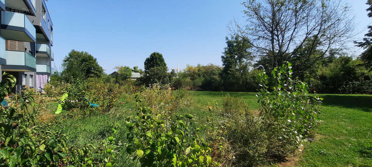 Appartement à SAINT-LOUIS