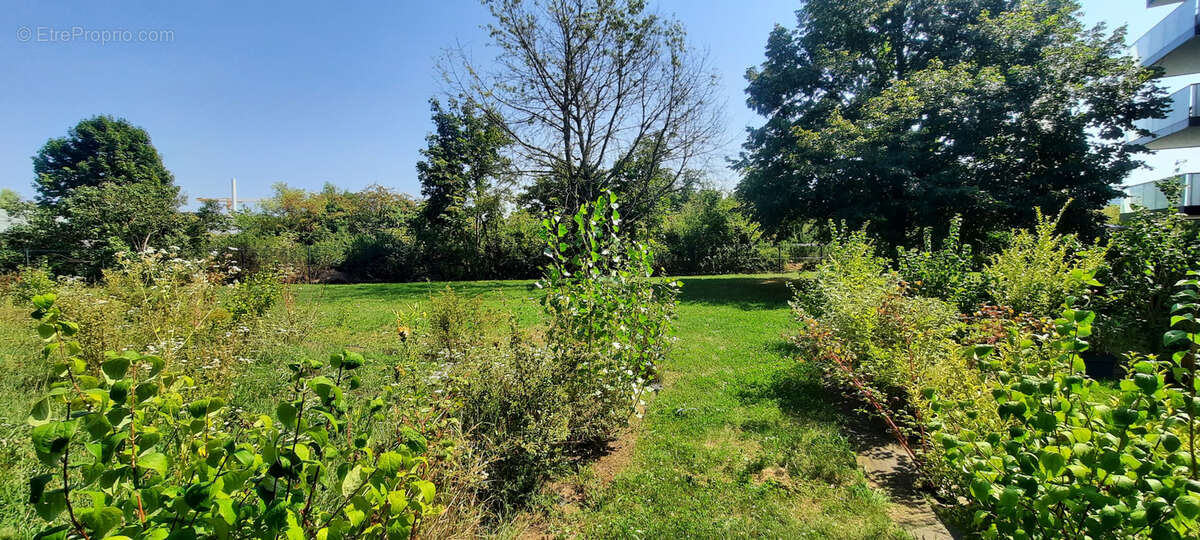 Appartement à SAINT-LOUIS