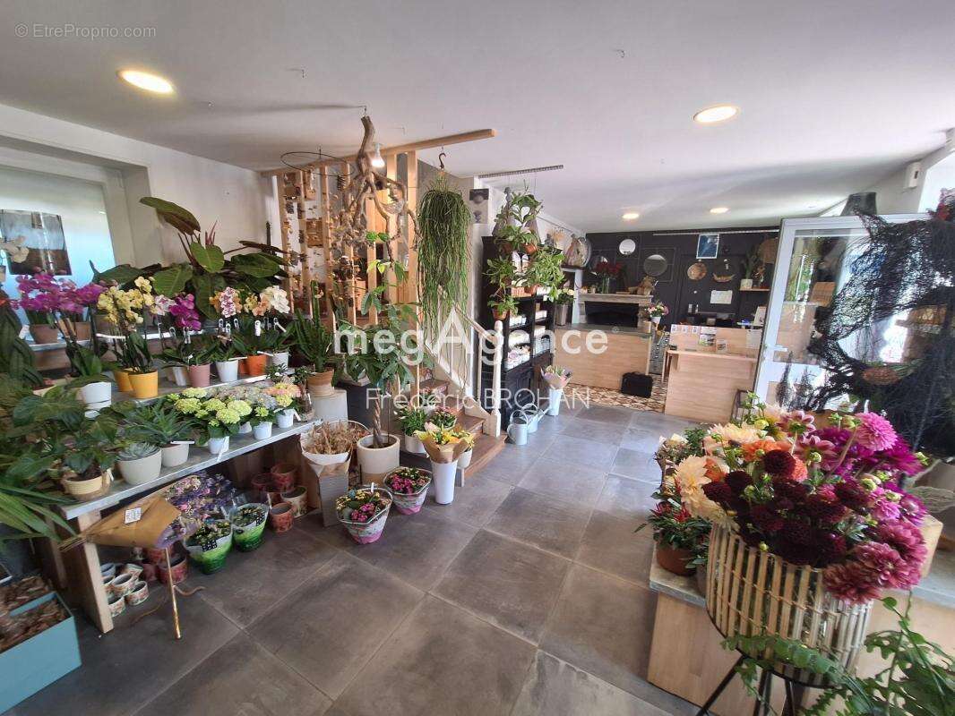 Commerce à BEAULIEU-SOUS-LA-ROCHE