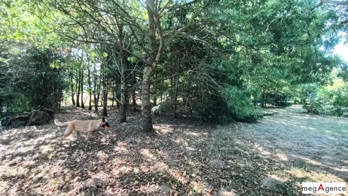 Maison à JAVRON-LES-CHAPELLES