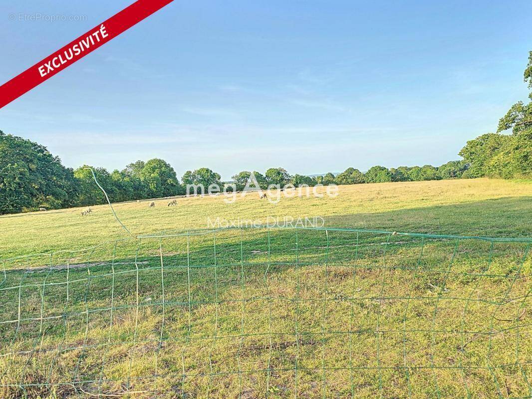 Maison à SAINT-CHRISTOPHE-DU-BOIS